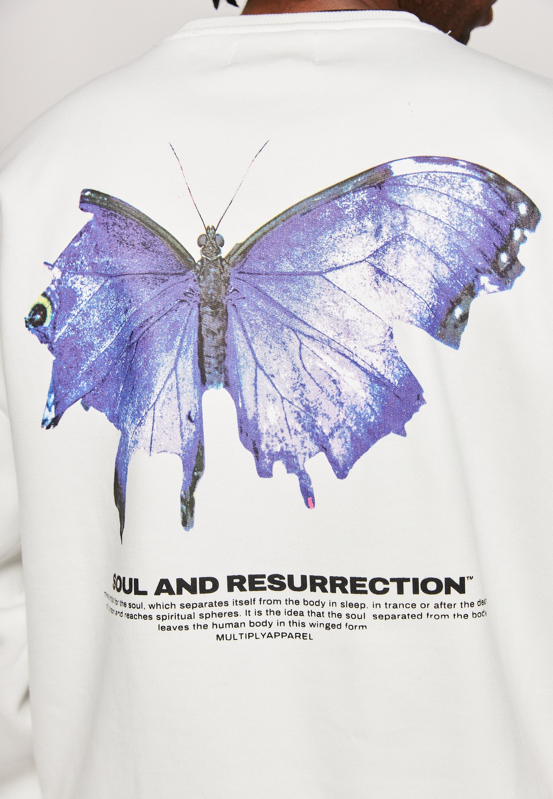 Oversized Sweatshirt BUTTERFLY Off White